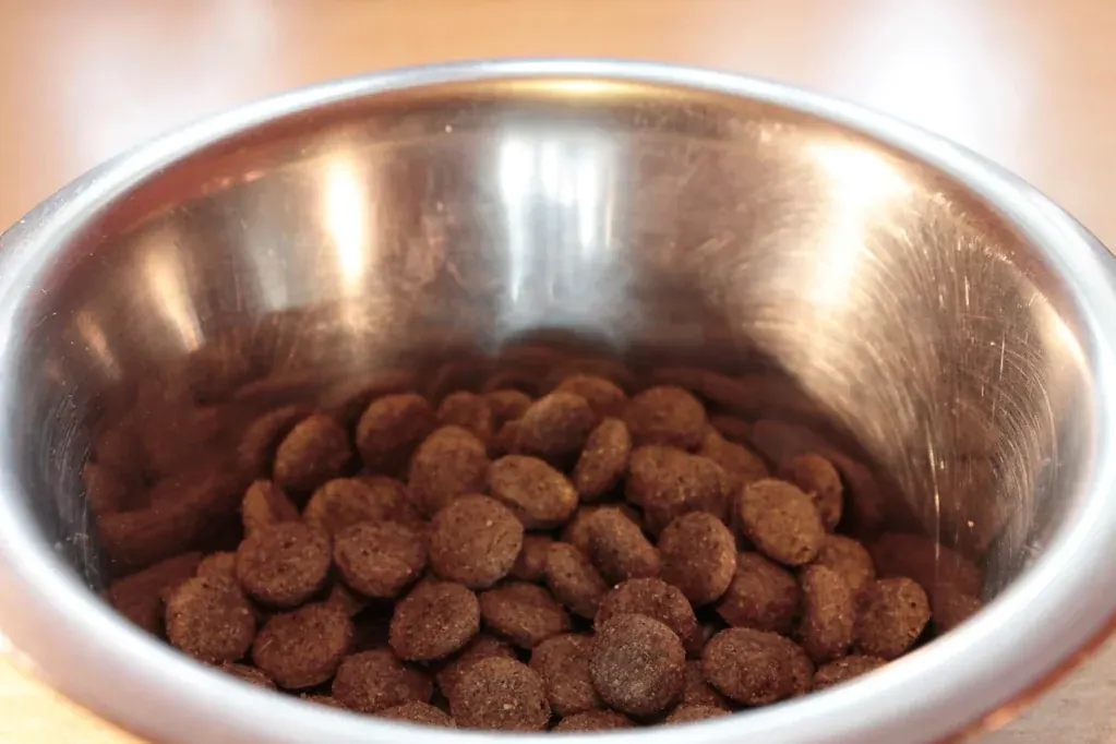 Ração seca para cachorro num pote de inox