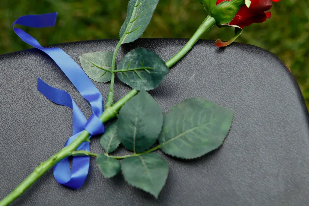Rosa vermelha com uma fita azul amarrada no caule